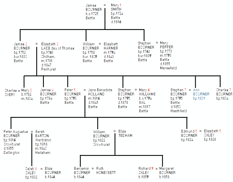 BOURNER Pedigree Tree