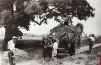 The Women's Land Army